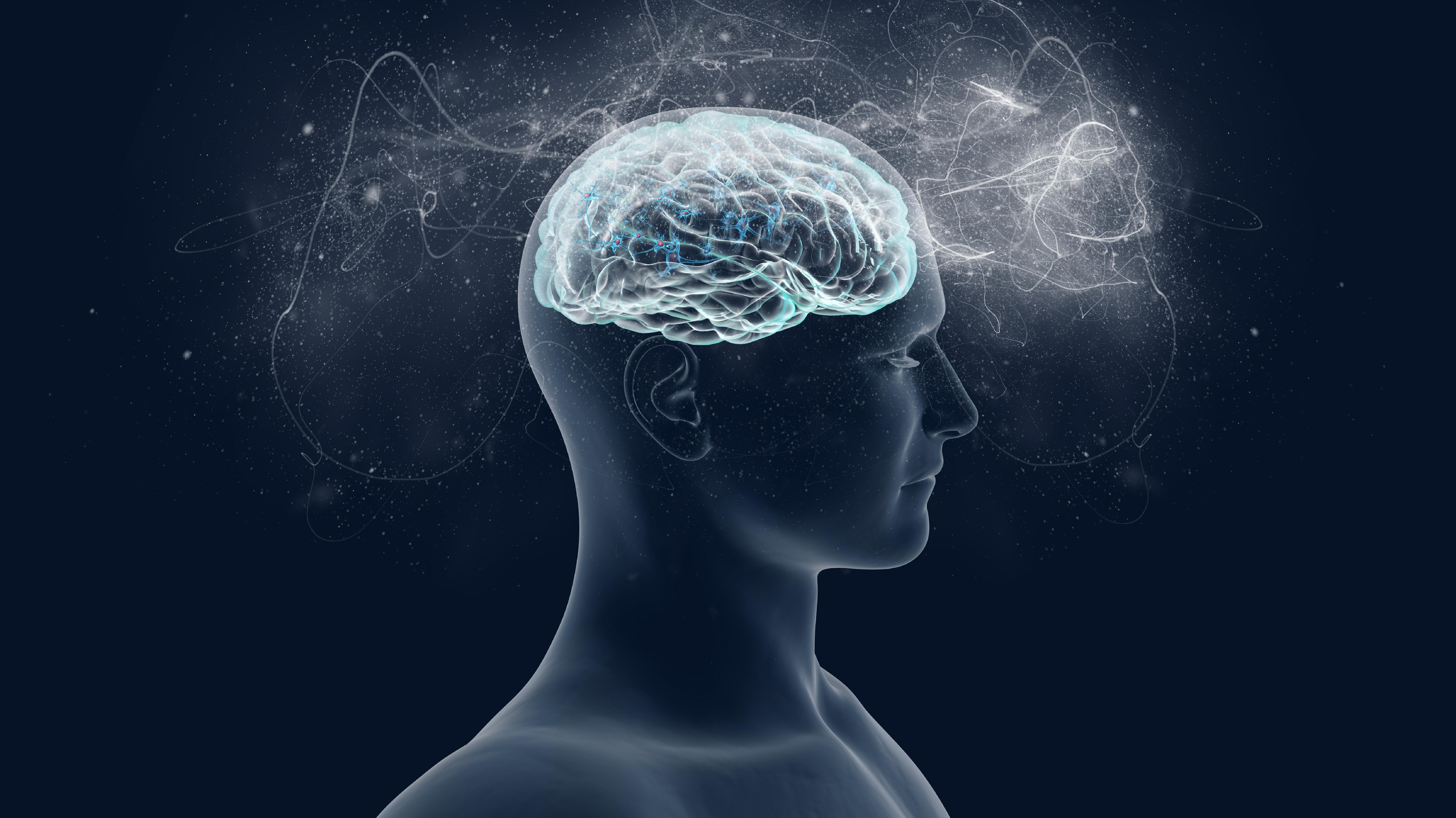 Conciencia y Autoconciencia en el Método Feldenkrais® – Método Feldenkrais Chile