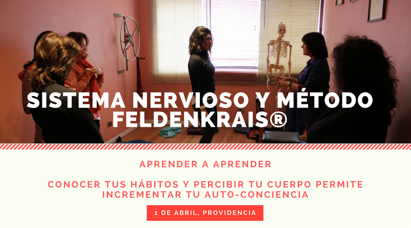 Sistema Nervioso y Método Feldenkrais (3).png