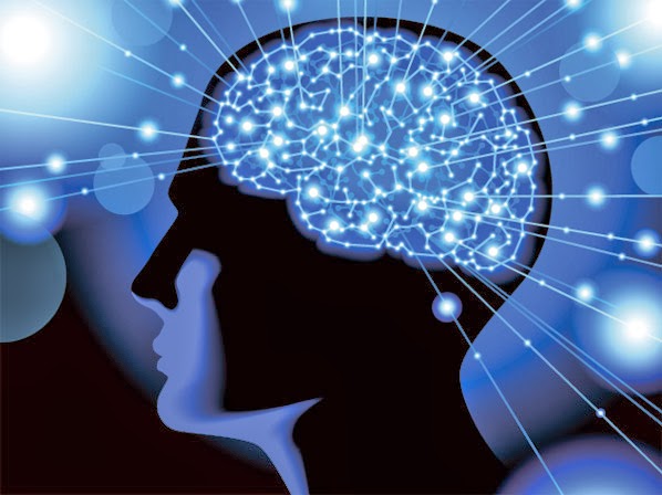 DIETAS-DE-AVENA-AVENA-PARA-EL-CEREBRO