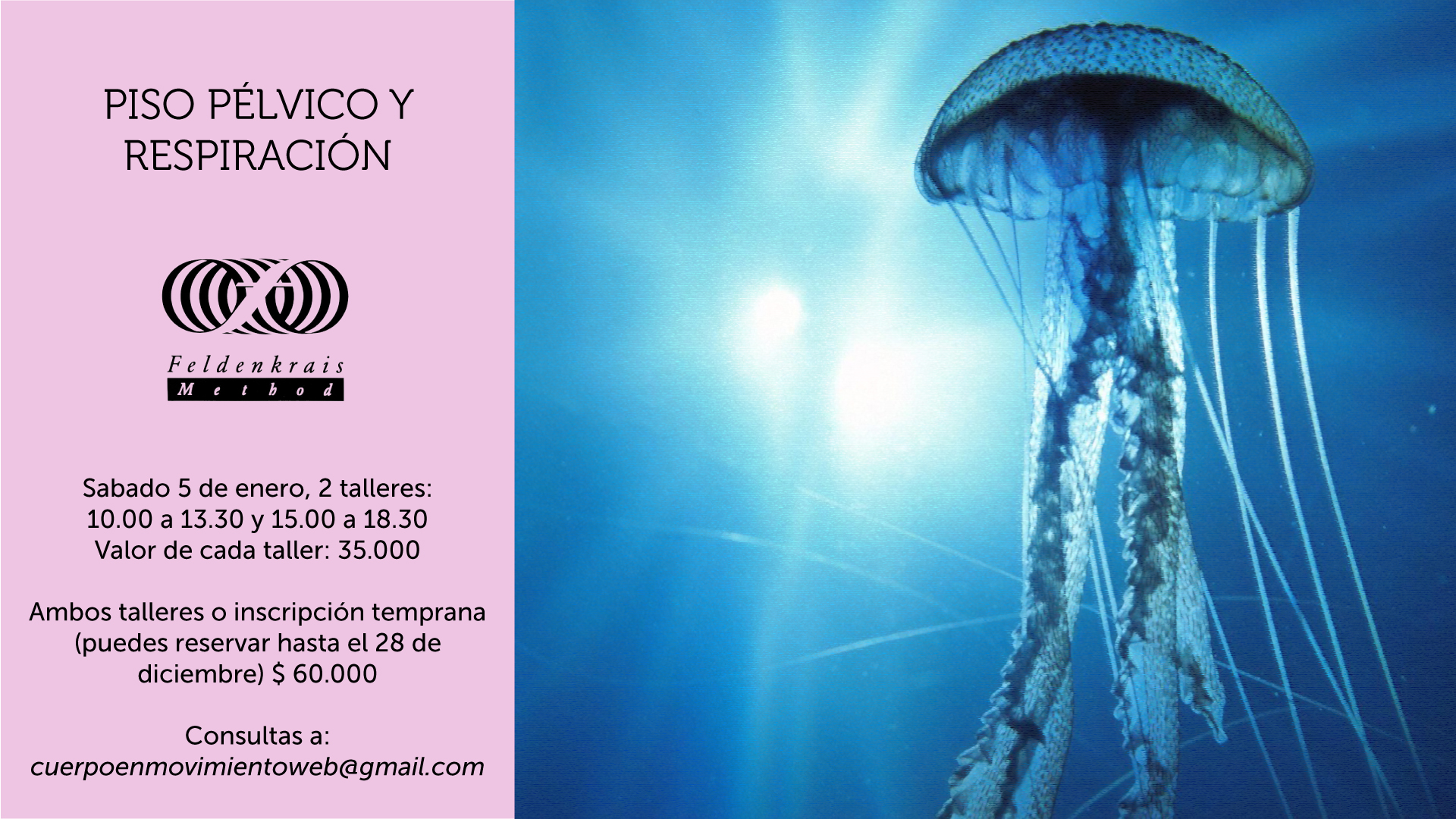 piso-pelvico-fcbk (1).jpg