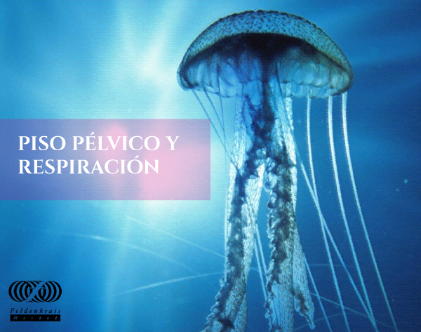 piso-pelvico-sendinblue (1)