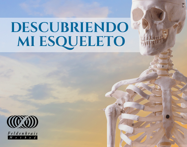 descubriendo esqueleto sendingblue